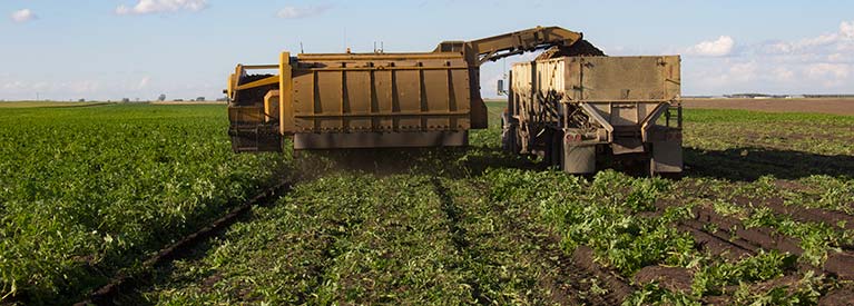 Simplify Field Prep